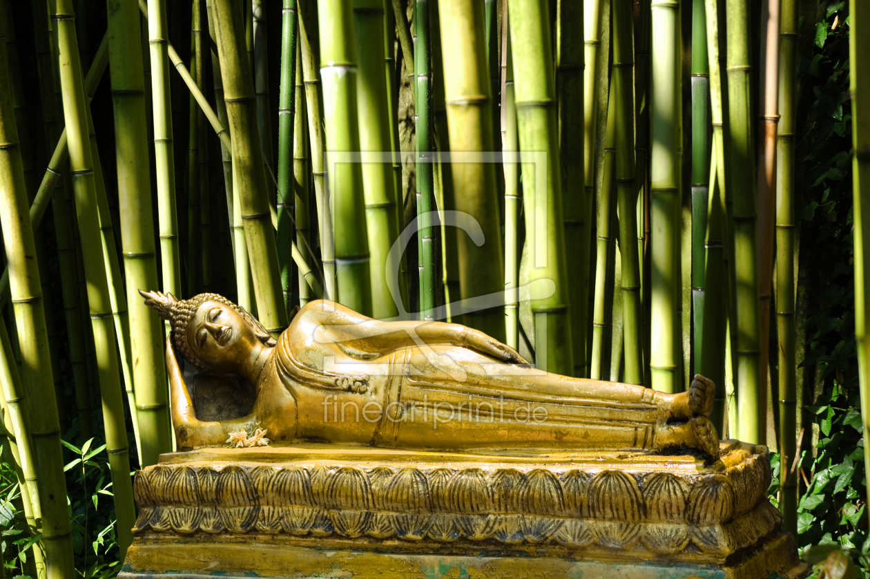 Bild-Nr.: 10152526 Buddha im Bambus erstellt von oldtimer