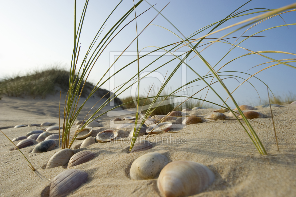 Bild-Nr.: 10153854 neulich am Strand erstellt von danielschoenen