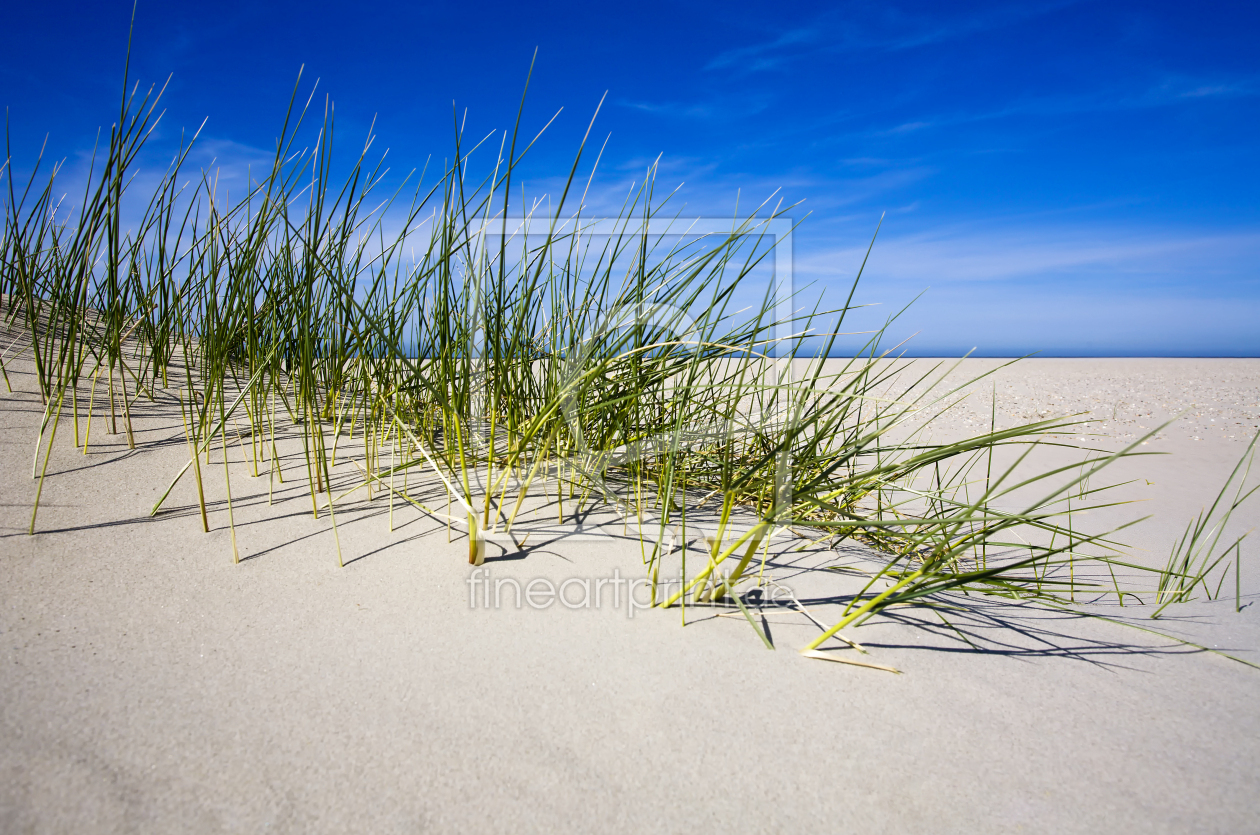 Bild-Nr.: 10157748 Dünen und Meer erstellt von Timo Geble