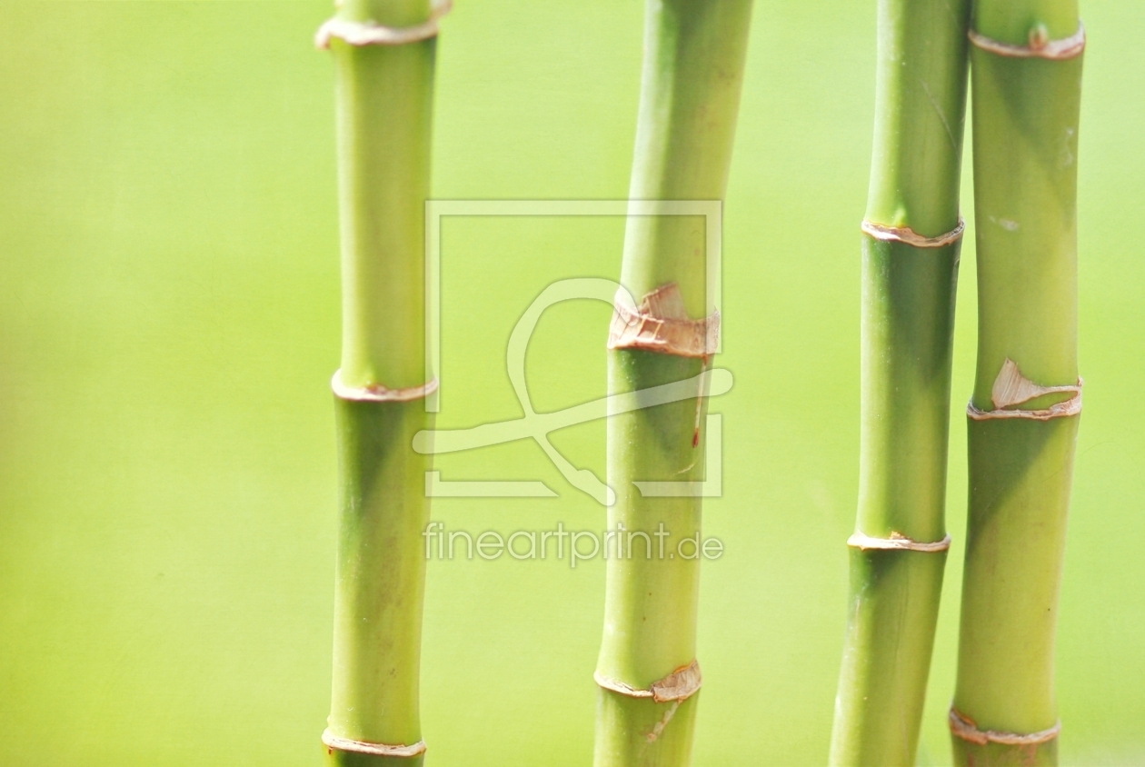 Bild-Nr.: 10162003 Bambusstäbe erstellt von gabii40