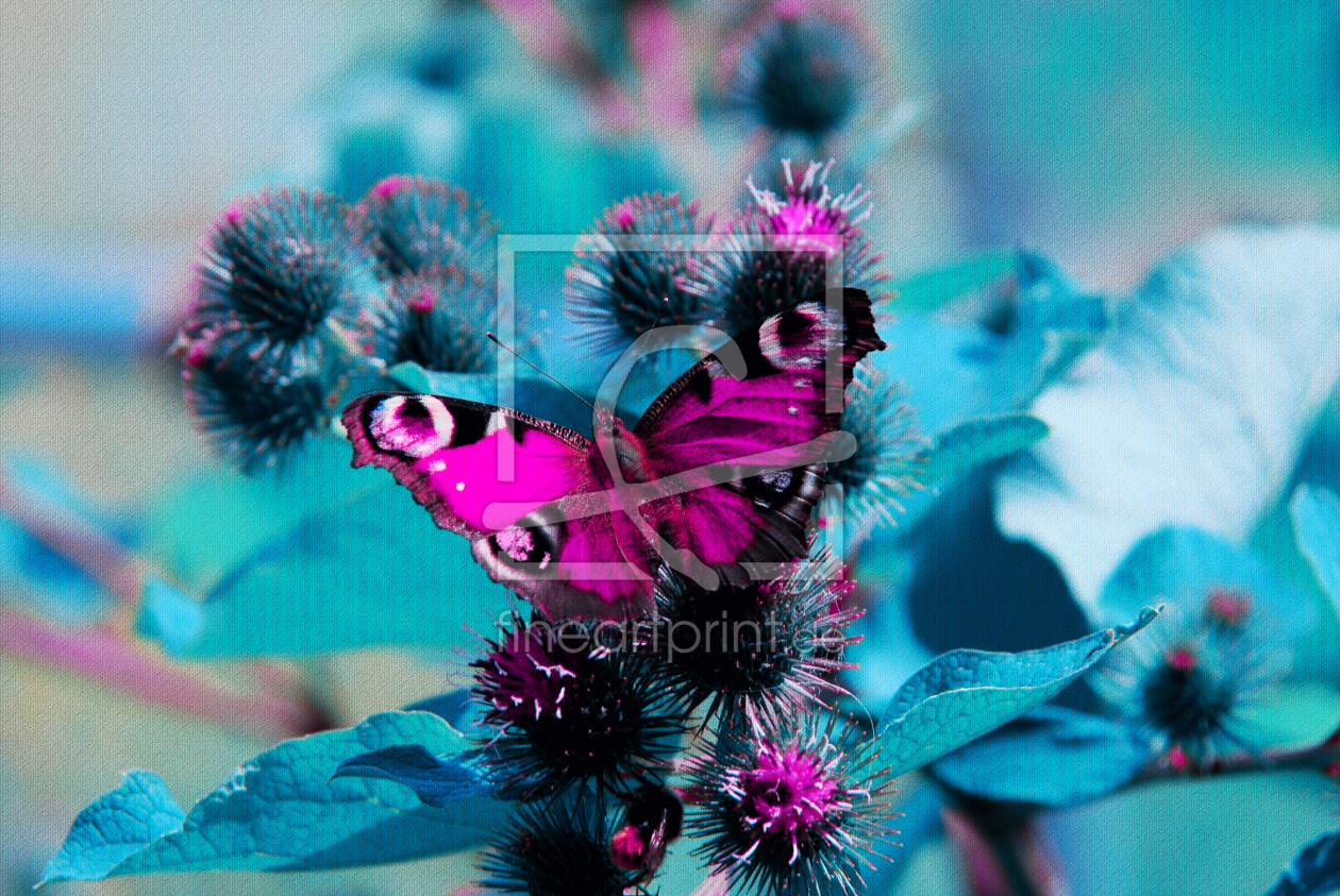 Bild-Nr.: 10162209 Schmetterling erstellt von Atteloi