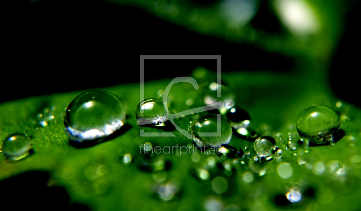 Bild-Nr.: 10163681 Raindrops erstellt von youhaveadream