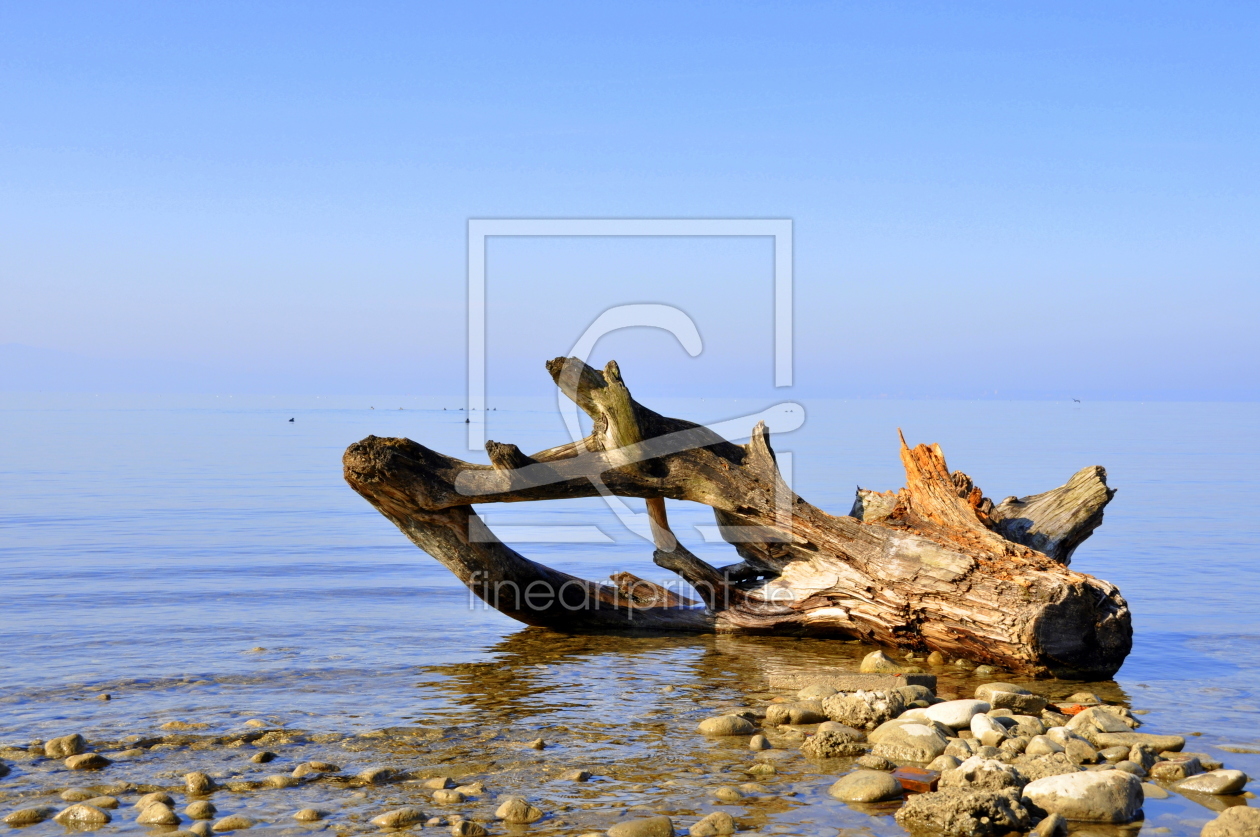 Bild-Nr.: 10168891 Strandgut II erstellt von GUGIGEI