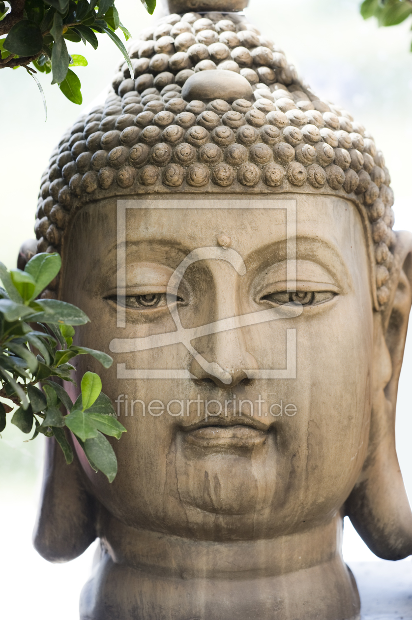 Bild-Nr.: 10170173 Buddha #4 erstellt von danielschoenen
