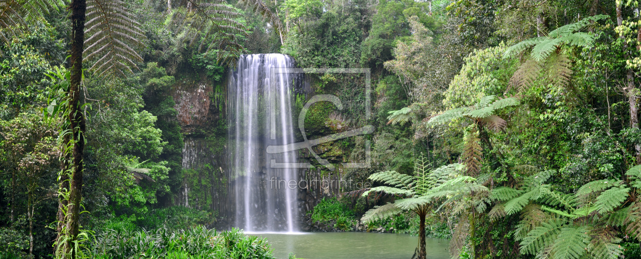 Bild-Nr.: 10175197 Millaa Millaa Waterfall erstellt von MSPictures