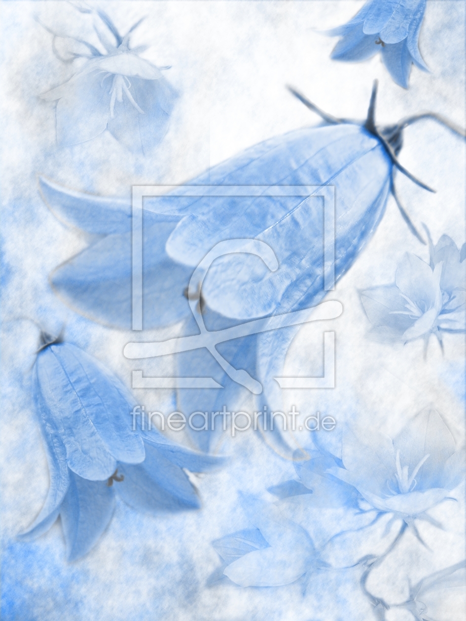 Bild-Nr.: 10179185 campanula pastell Bild-Nr.: 10179185 campanula pastell erstellt von PaulaPanther