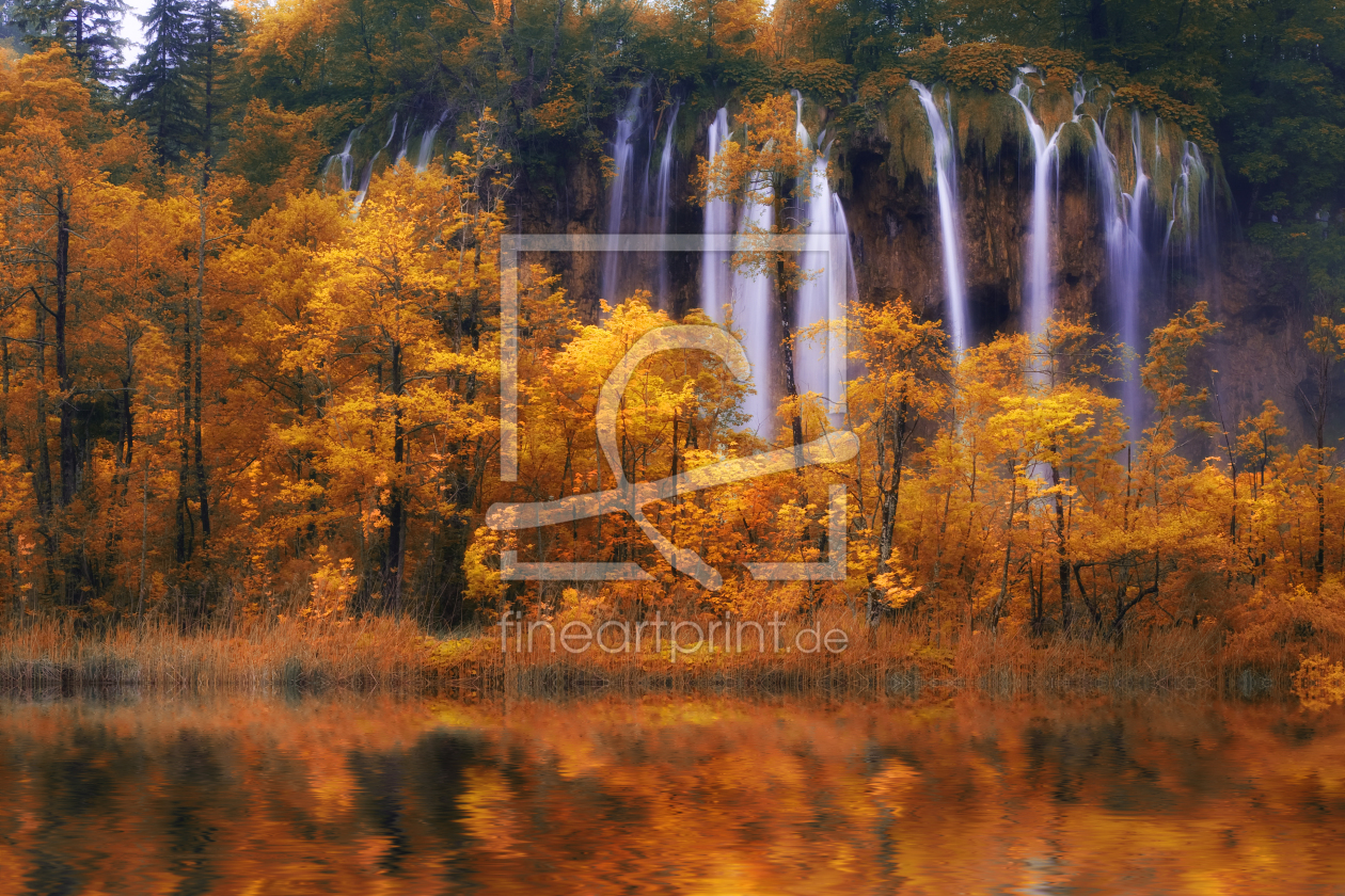 Bild-Nr.: 10181727 Flammender Herbst erstellt von Thomas Herzog