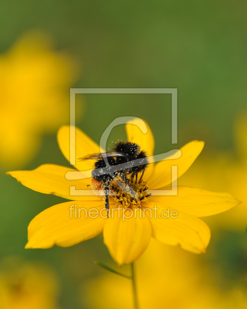 Bild-Nr.: 10184197 voller Pollen erstellt von kojin-teki