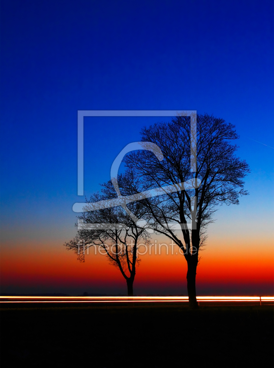 Bild-Nr.: 10186037 Bäume im Lichtspiel erstellt von MPL-Photographie