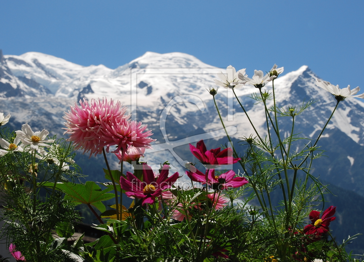 Bild-Nr.: 10187987 * Mont Blanc * erstellt von GUGIGEI