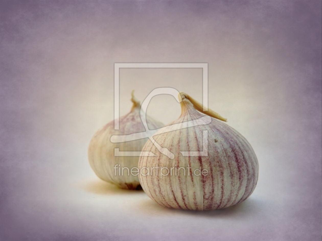 Bild-Nr.: 10191101 garlic II erstellt von Anja Otto