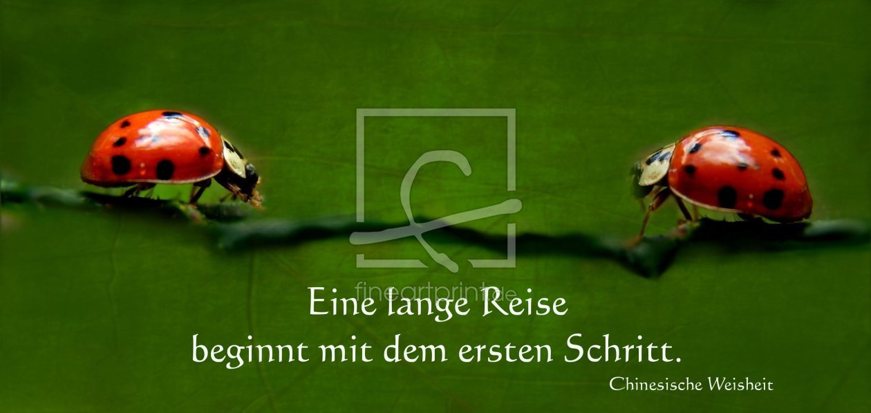 Bild-Nr.: 10199285 Eine lange Reise ...  erstellt von Heike  Hultsch