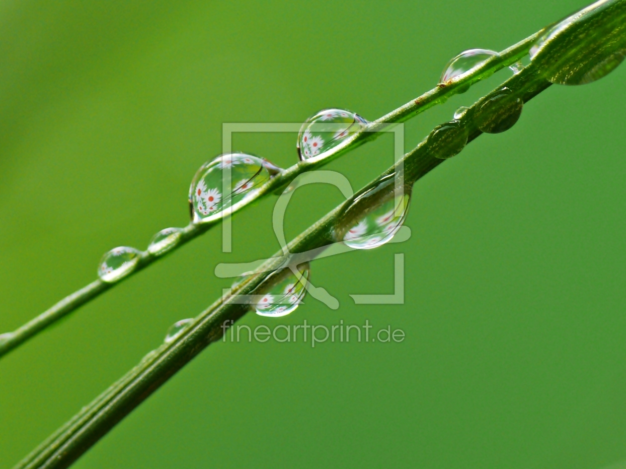 Bild-Nr.: 10205557 Wassertropfen Bild-Nr.: 10205557 Wassertropfen erstellt von Gabi Siebenhühner