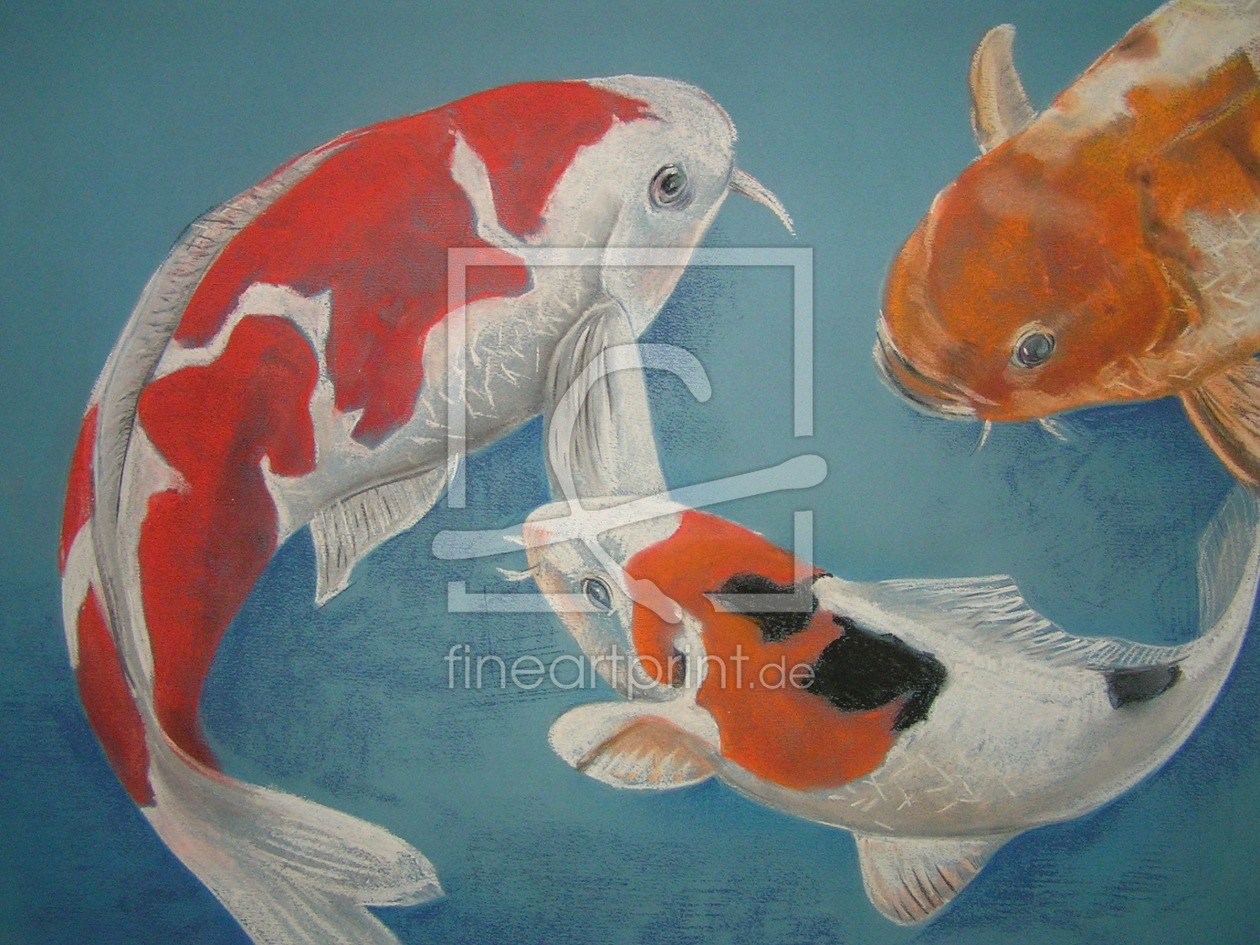 Koi - Karpfen als Leinwanddruck 10206731 | Fine Art