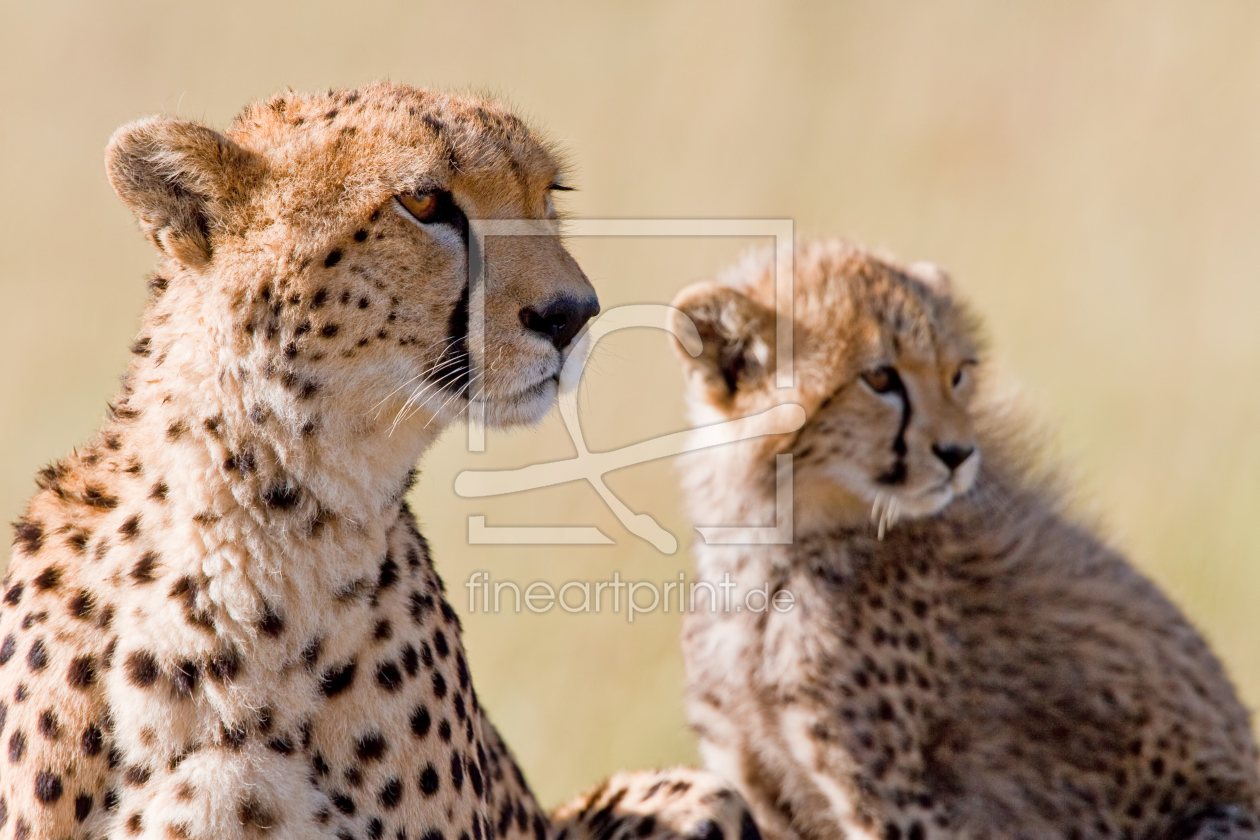 Bild-Nr.: 10210253 Mama und ich erstellt von Safarifotografie