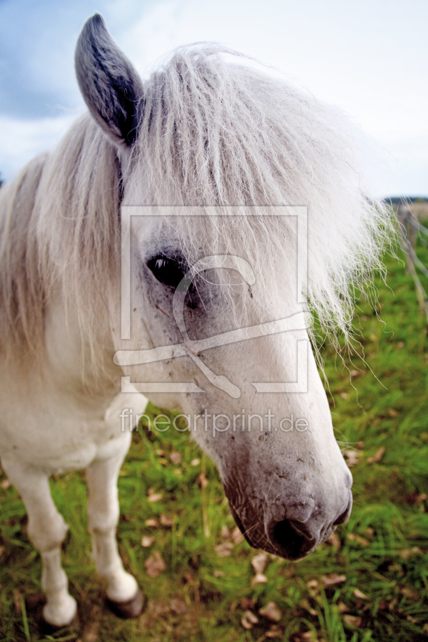 Bild-Nr.: 10216621 Frisur ok? erstellt von FotoDeHRO