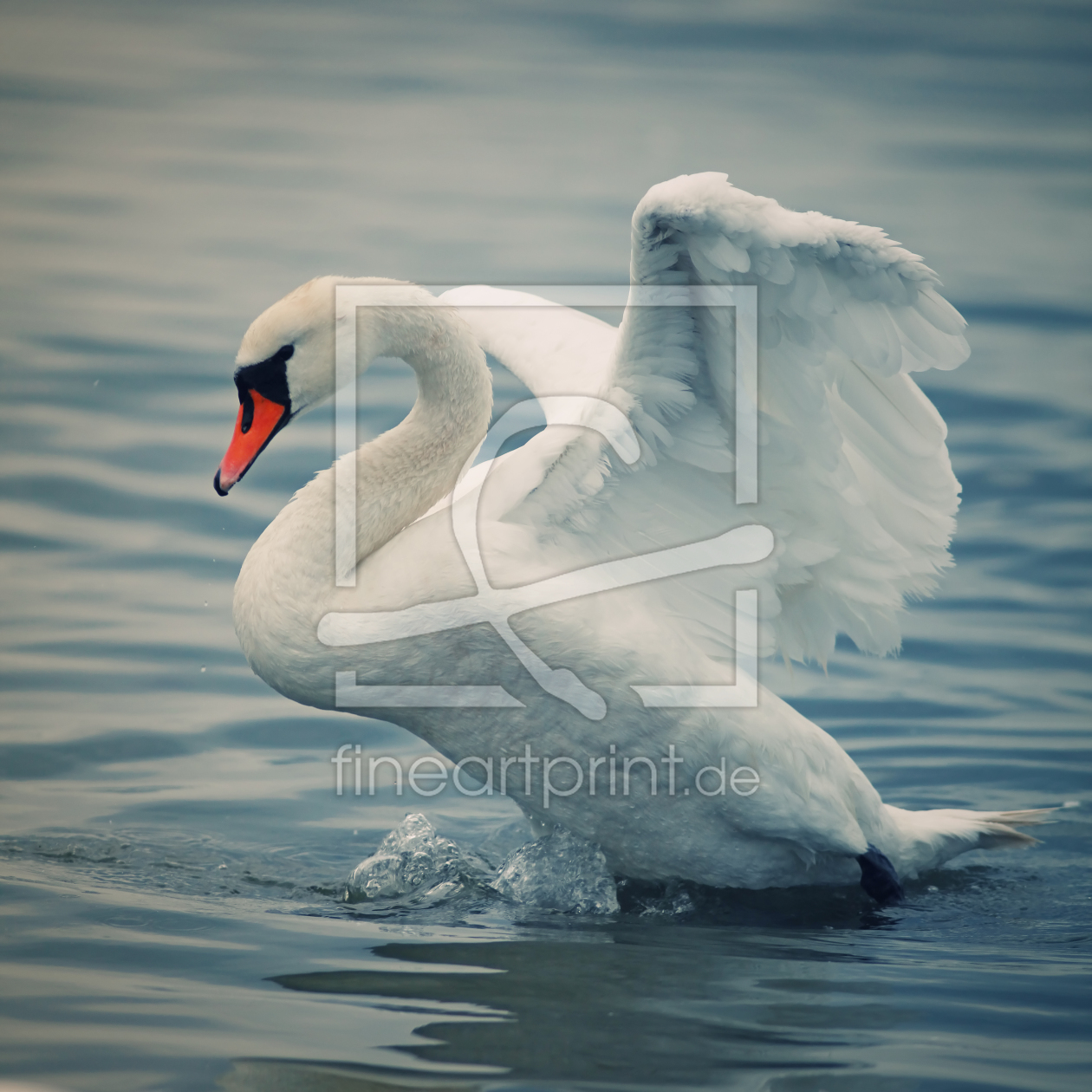 Bild-Nr.: 10218283 Swan erstellt von FotoDeHRO