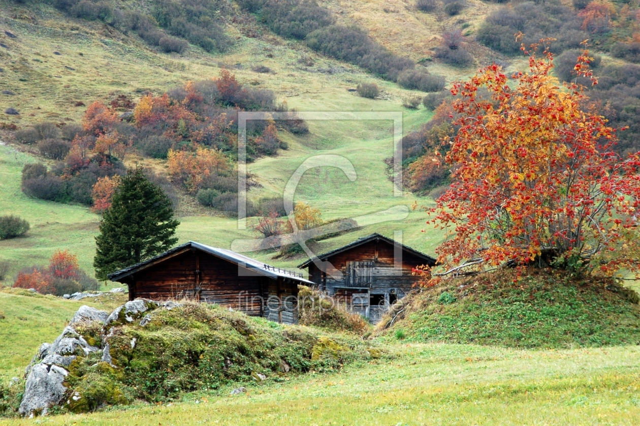 Bild-Nr.: 10221921 herbstliche Alm erstellt von Bettina Schnittert