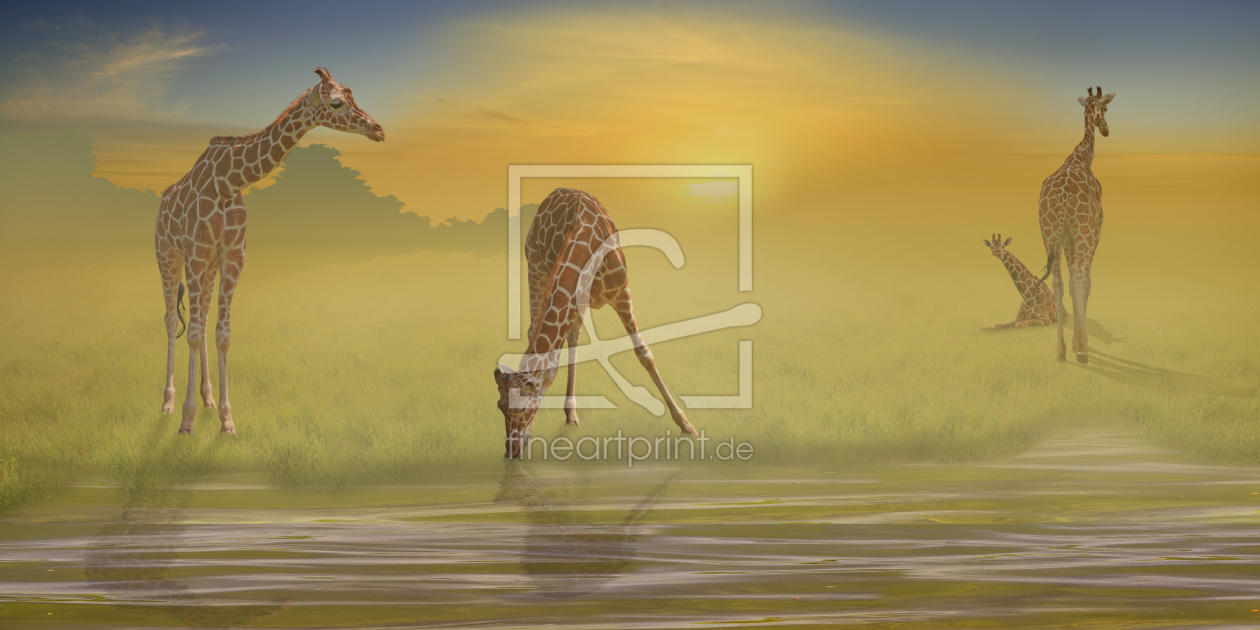 Bild-Nr.: 10223873 Giraffen am Fluß I erstellt von Mausopardia