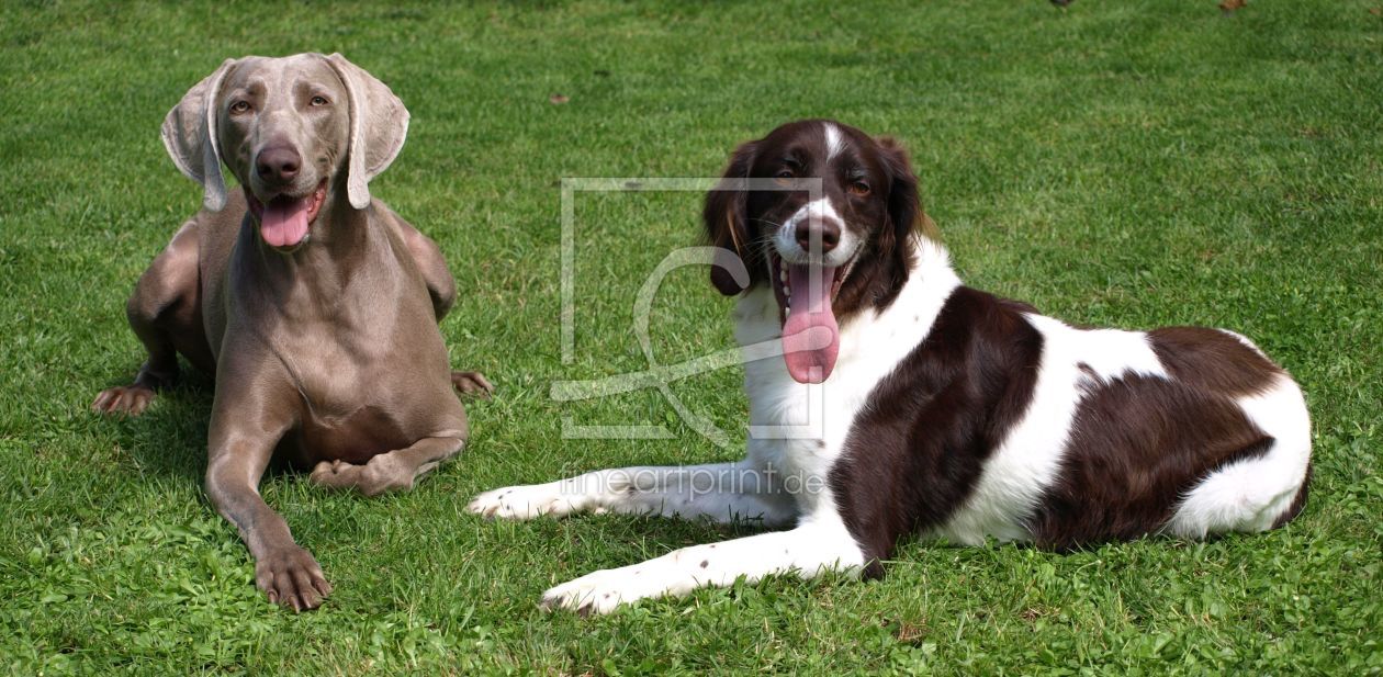 Bild-Nr.: 10226195 Chillout Area erstellt von Weimaranerandy