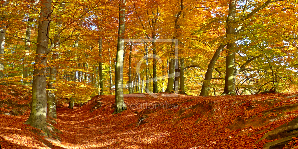 Bild-Nr.: 10226337 ___HERBST___ erstellt von WildlifePhotography