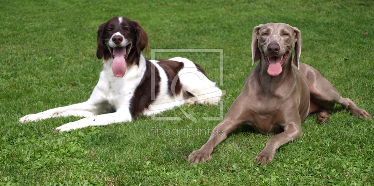 Bild-Nr.: 10227013 Zwei Jäger beim Sonnenbaden erstellt von Weimaranerandy