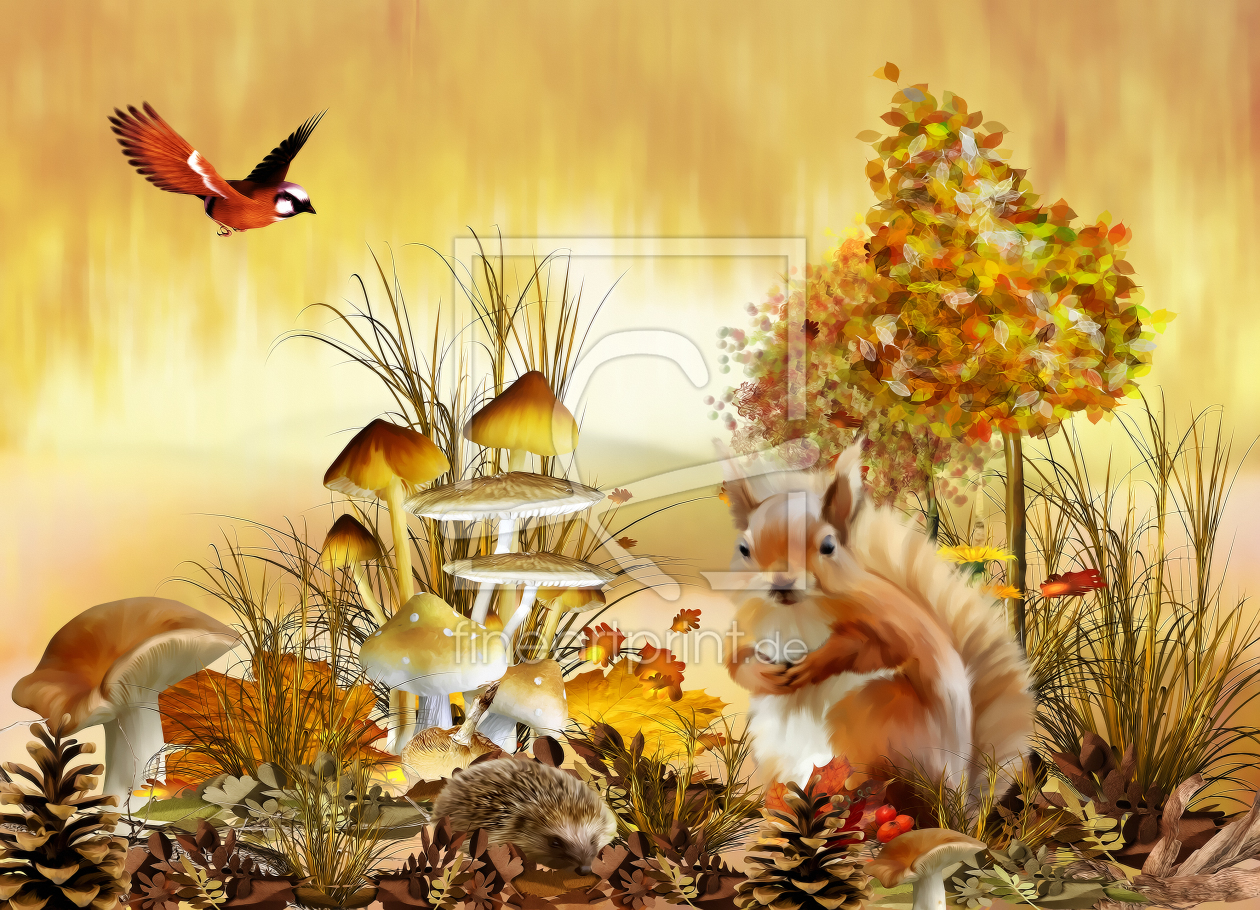 Bild-Nr.: 10228487 Herbst erstellt von DagmarMarina