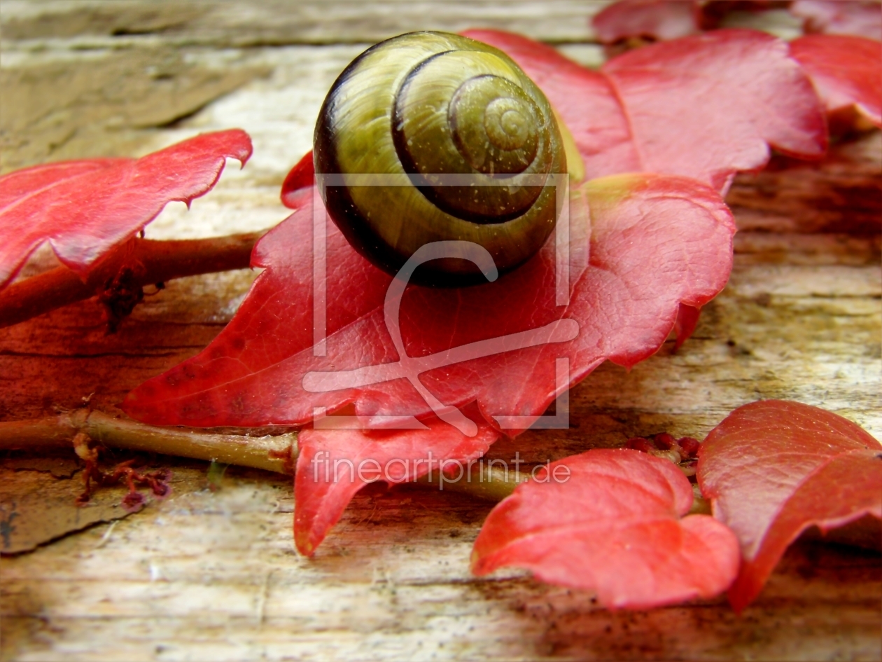 Bild-Nr.: 10230179 Herbstimpressionen erstellt von Heike Hultsch