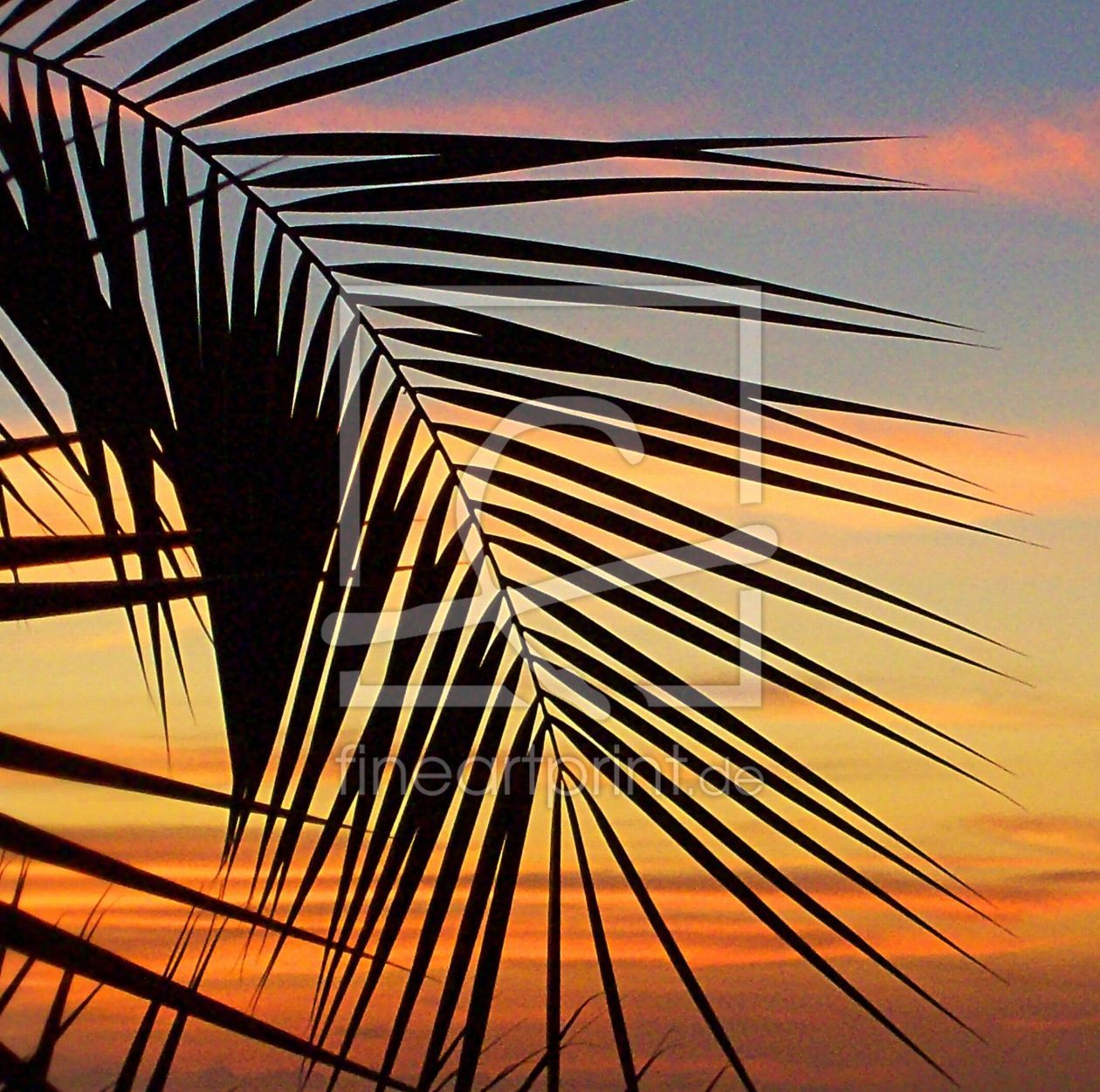 Bild-Nr.: 10232675 Palmtree-Sunset erstellt von Marion227