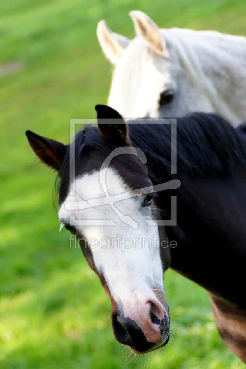 Bild-Nr.: 10232689 HELLO erstellt von youhaveadream