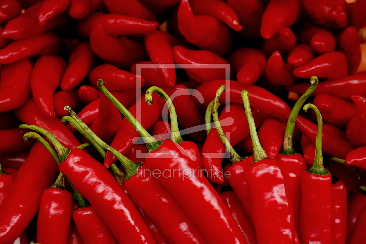 Bild-Nr.: 10237521 hot red chili erstellt von fotoping