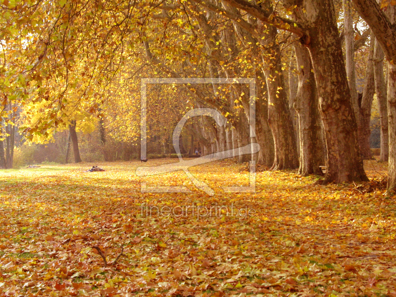 Bild-Nr.: 10245161 Goldener Herbst erstellt von ursand
