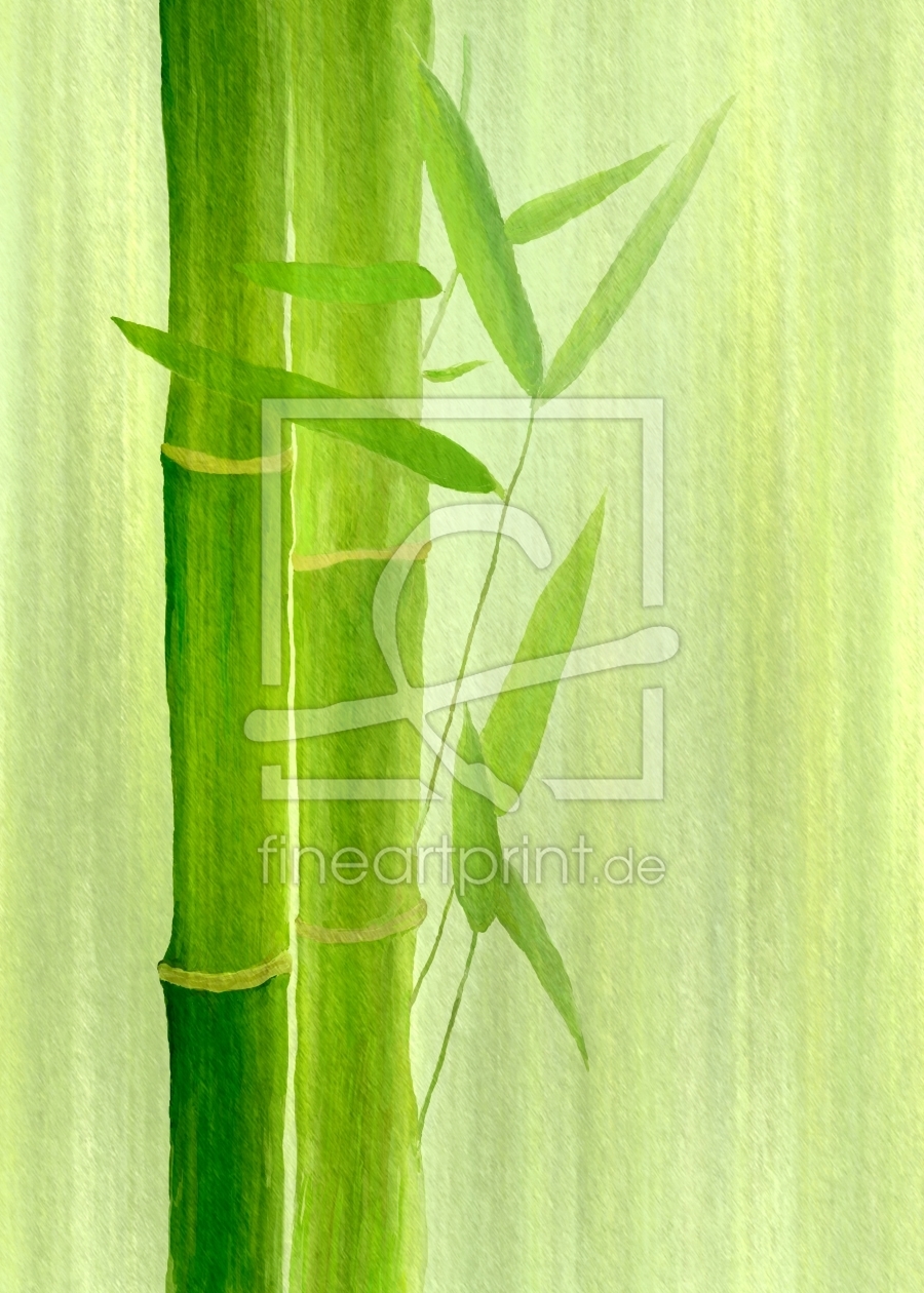 Bild-Nr.: 10245355 Bambus   erstellt von gabii40