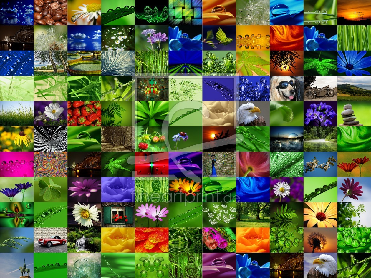 Bild-Nr.: 10245393 Collage erstellt von gabii40