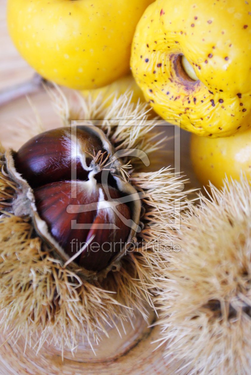 Bild-Nr.: 10249893 Herbstzauber 2 erstellt von Cocoa