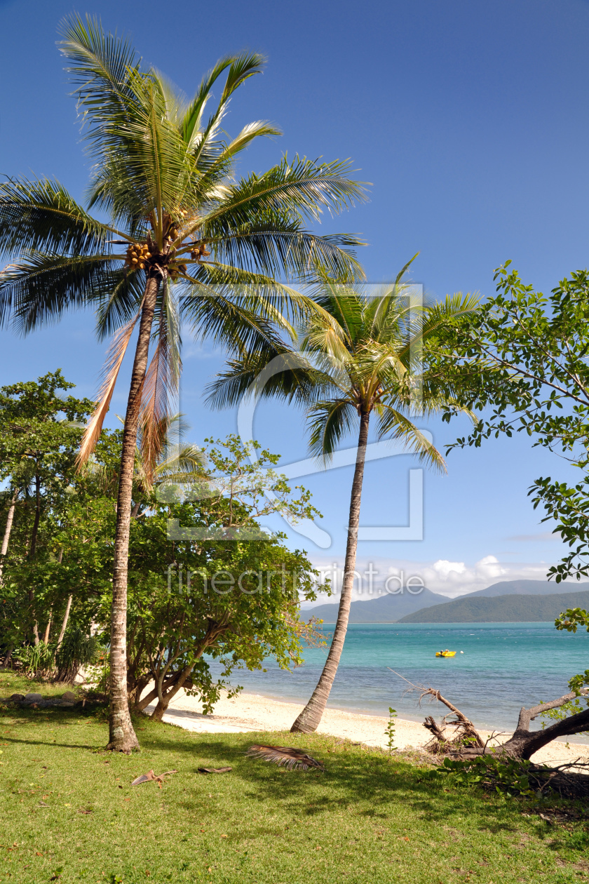 Bild-Nr.: 10250281 Coconut Palms erstellt von MSPictures