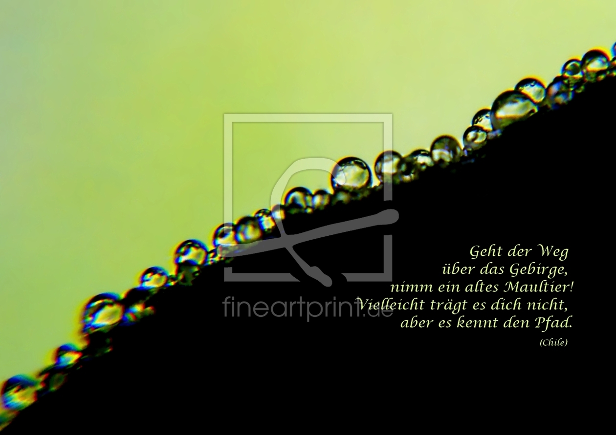 Bild-Nr.: 10253205 Der Weg erstellt von youhaveadream