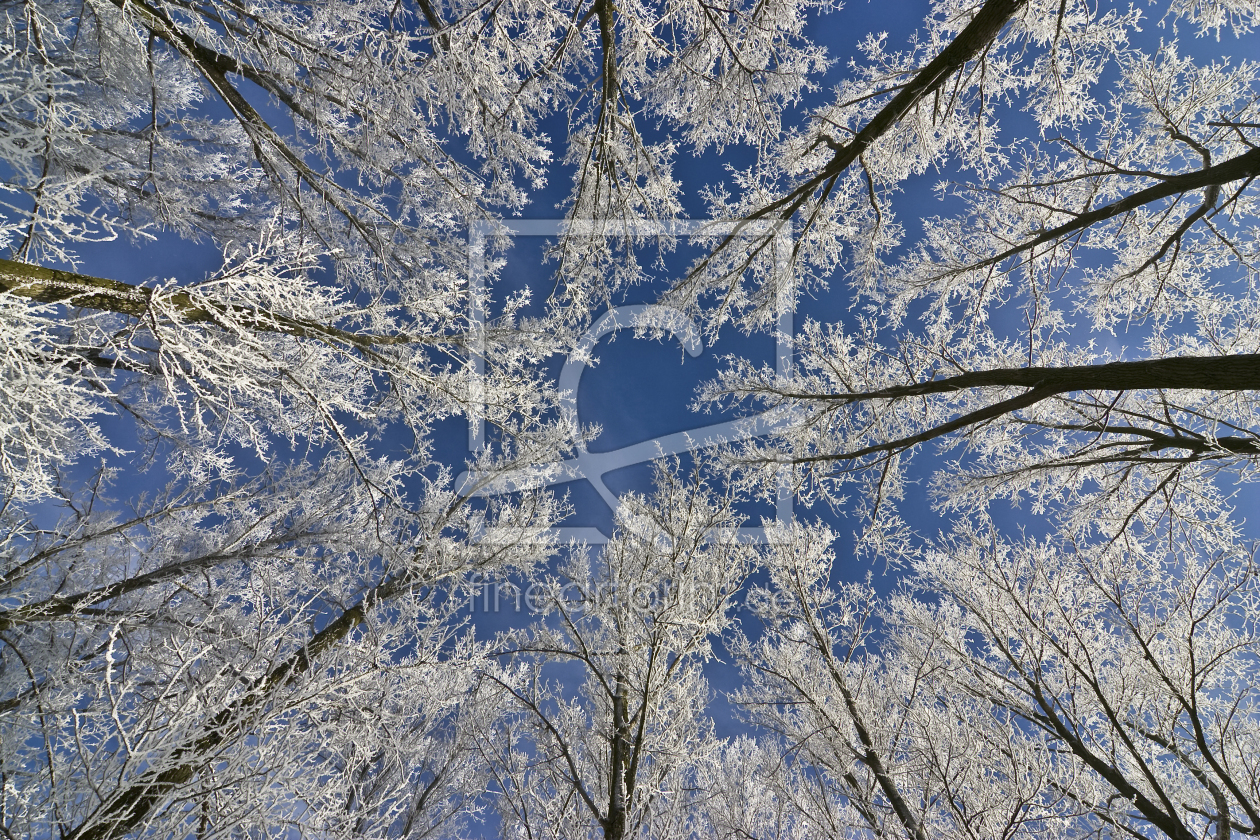 Bild-Nr.: 10257777 Wintermärchen erstellt von Günter Borgmann