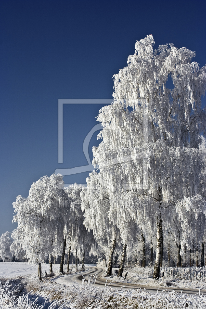 Bild-Nr.: 10257779 Wintermärchen II erstellt von Günter Borgmann