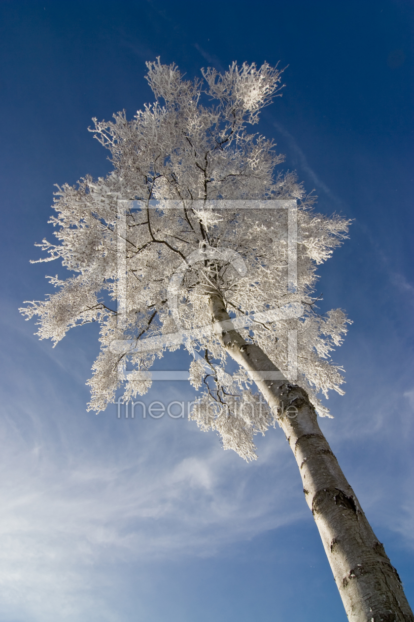 Bild-Nr.: 10262675 Wintermärchen IV erstellt von Günter Borgmann