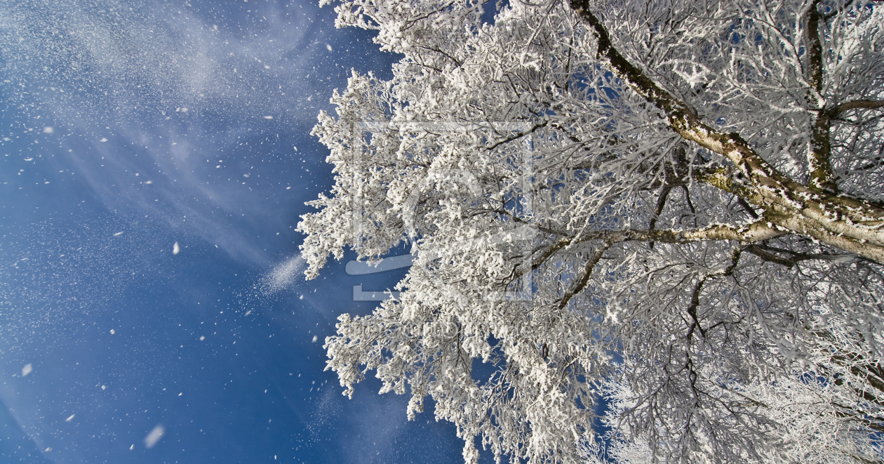 Bild-Nr.: 10262683 Wintermärchen IV erstellt von Günter Borgmann