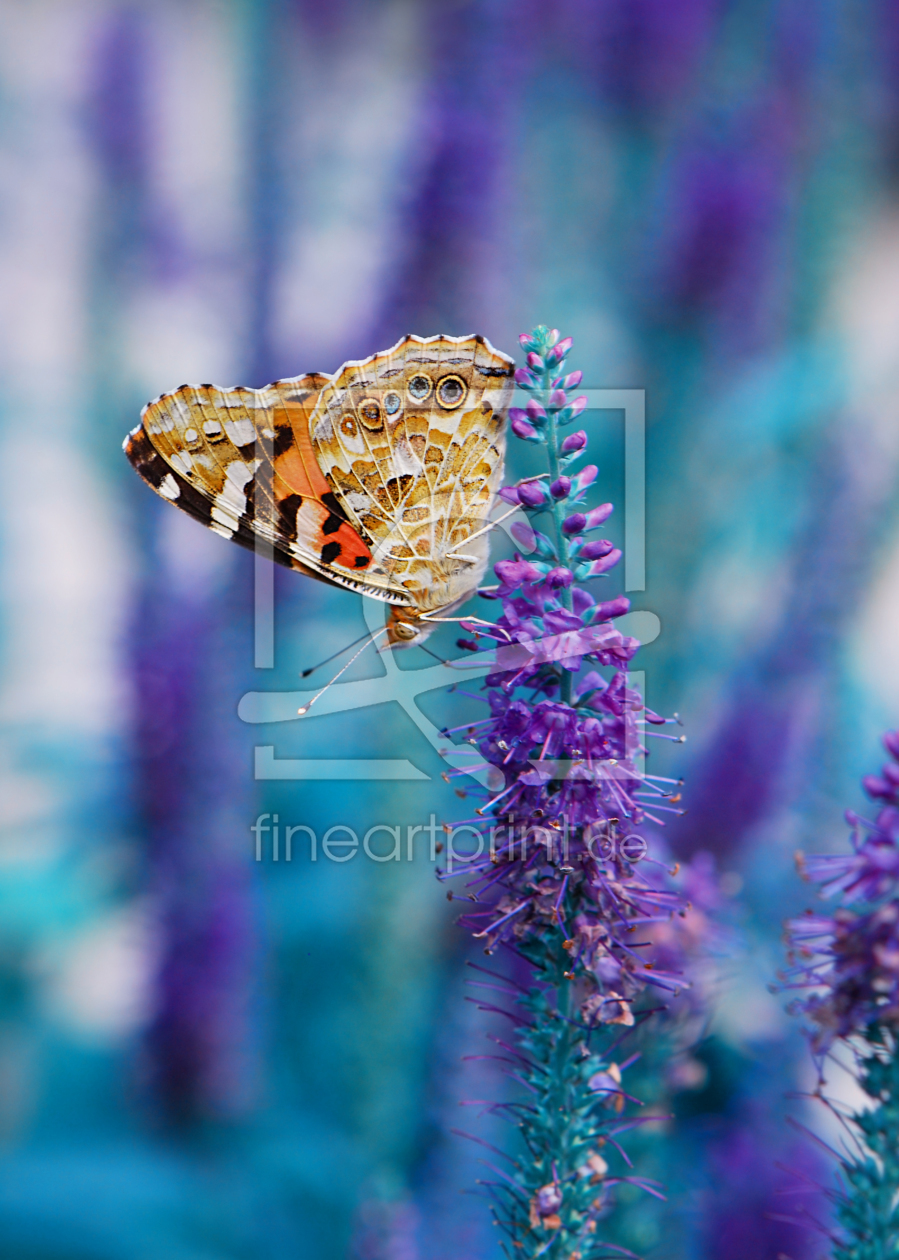 Bild-Nr.: 10263271 Schmetterling erstellt von Atteloi