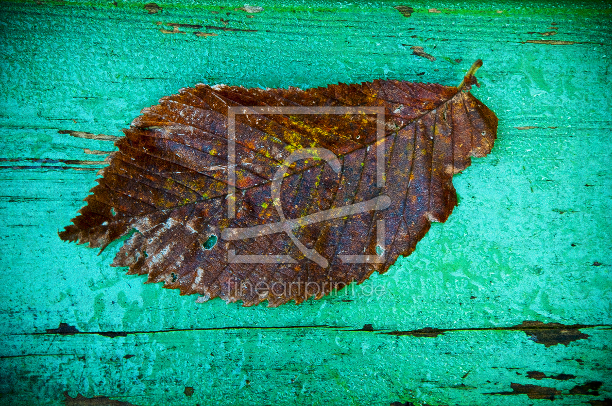 Bild-Nr.: 10266673 Herbstmelancholie erstellt von arteRalfo