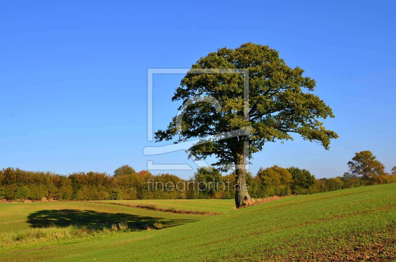 Bild-Nr.: 10267339 Herbststimmung erstellt von Ostfriese