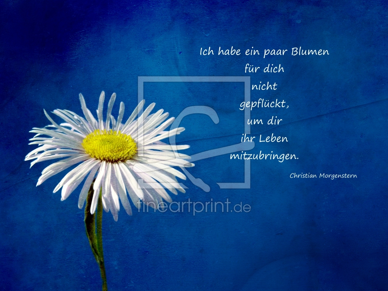 Bild-Nr.: 10267755 Liebe und Blumen erstellt von Heike  Hultsch