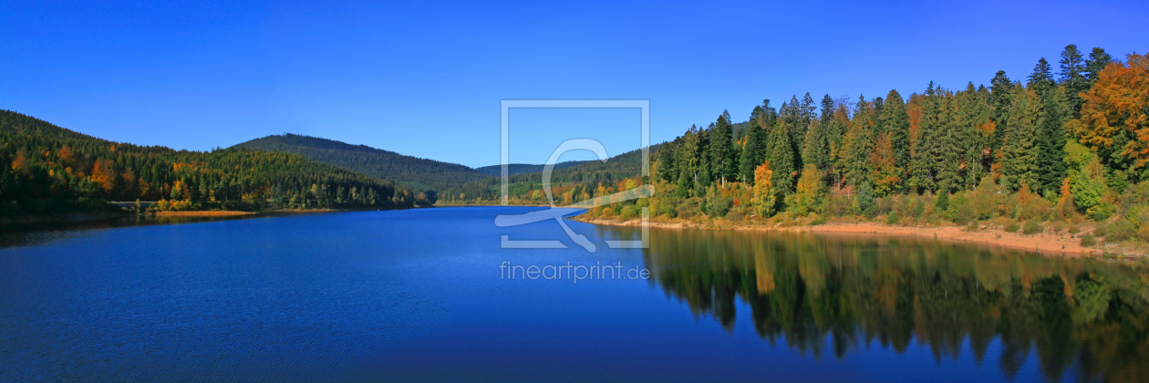 Bild-Nr.: 10267917 Bergsee Panorama aus dem Schwarzwald erstellt von Mausopardia