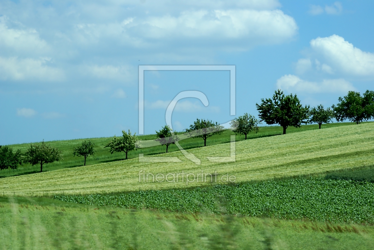 Bild-Nr.: 10267989 Trees erstellt von youhaveadream