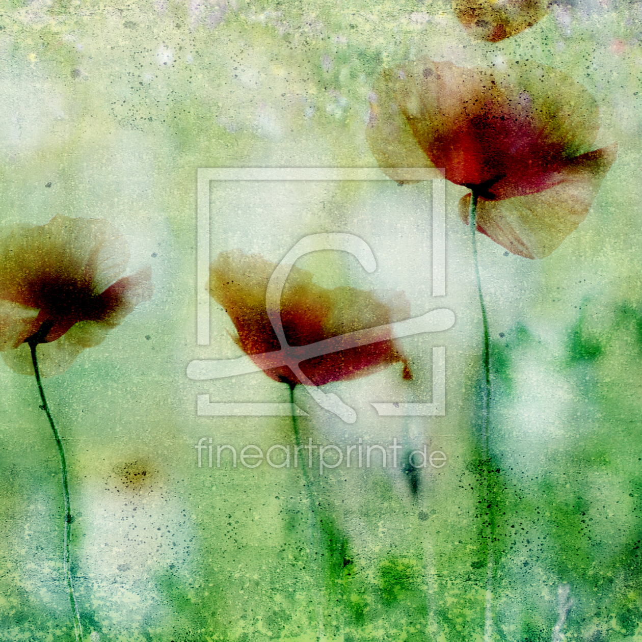 Bild-Nr.: 10269095 blutmohn erstellt von ILfotokunst