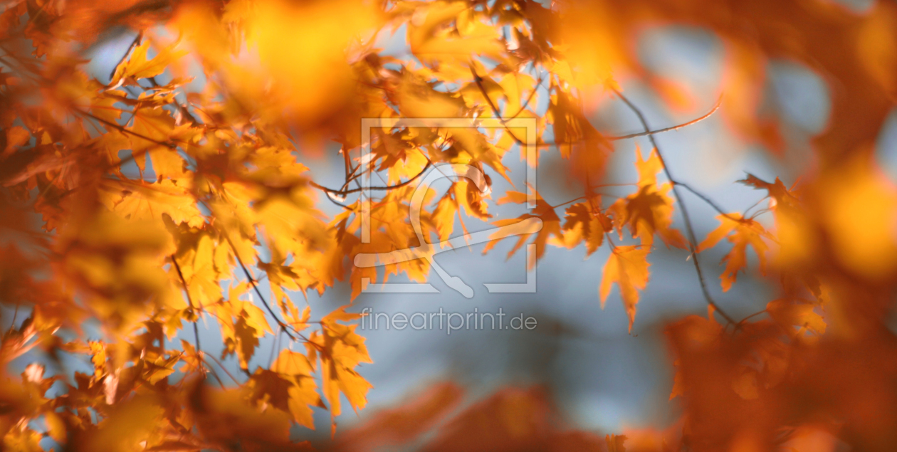 Bild-Nr.: 10272039 Herbstimpressionen erstellt von Renate Knapp