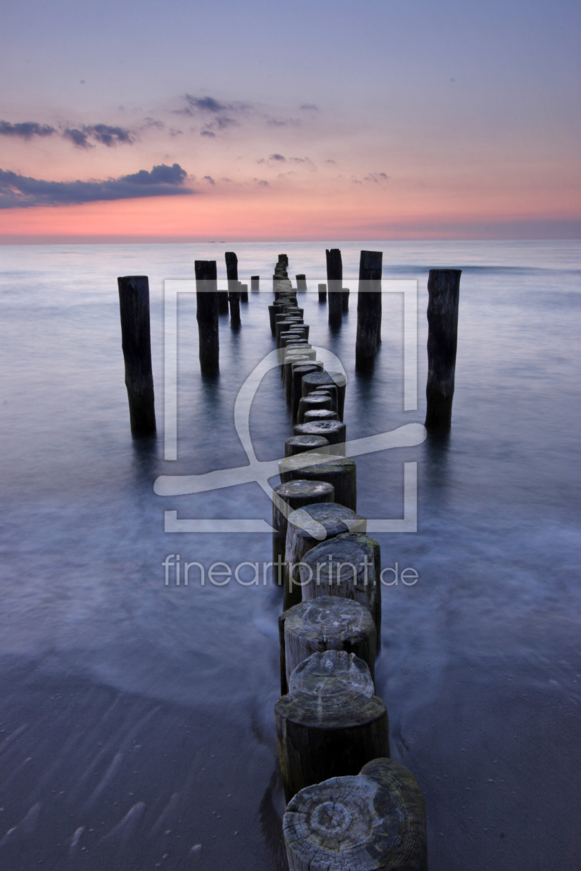 Bild-Nr.: 10272399 Ostseebuhnen erstellt von sk-photoart